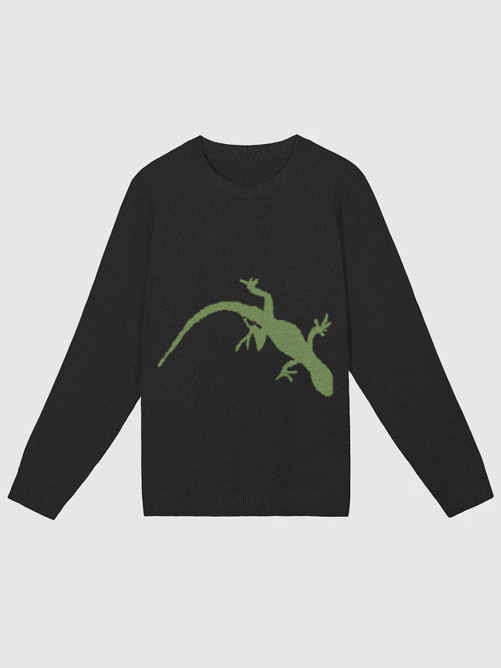 Gecko Sweater product image (1)