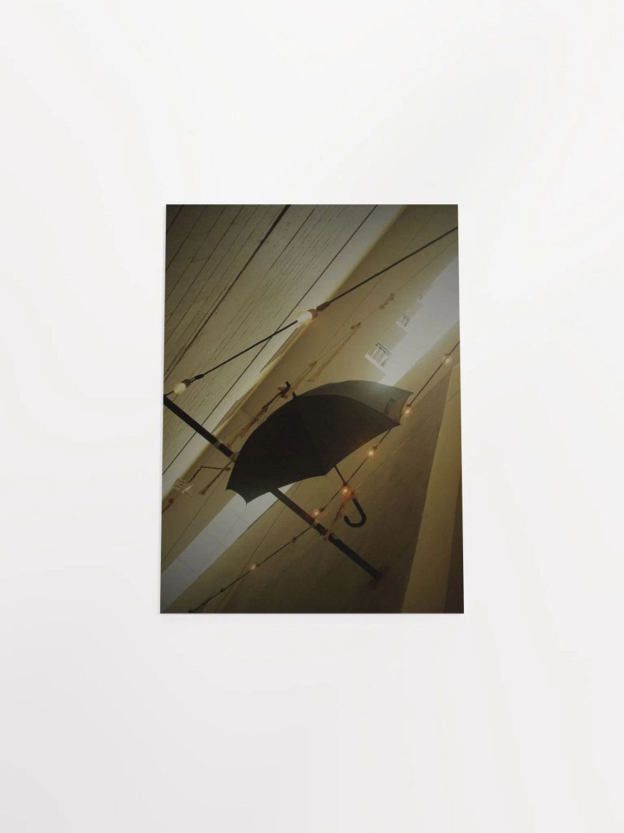 Hanging Umbrella 6 product image (49)