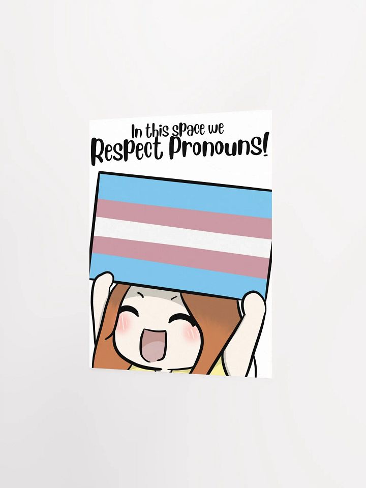 Respect Pronouns Poster - Transgender product image (2)