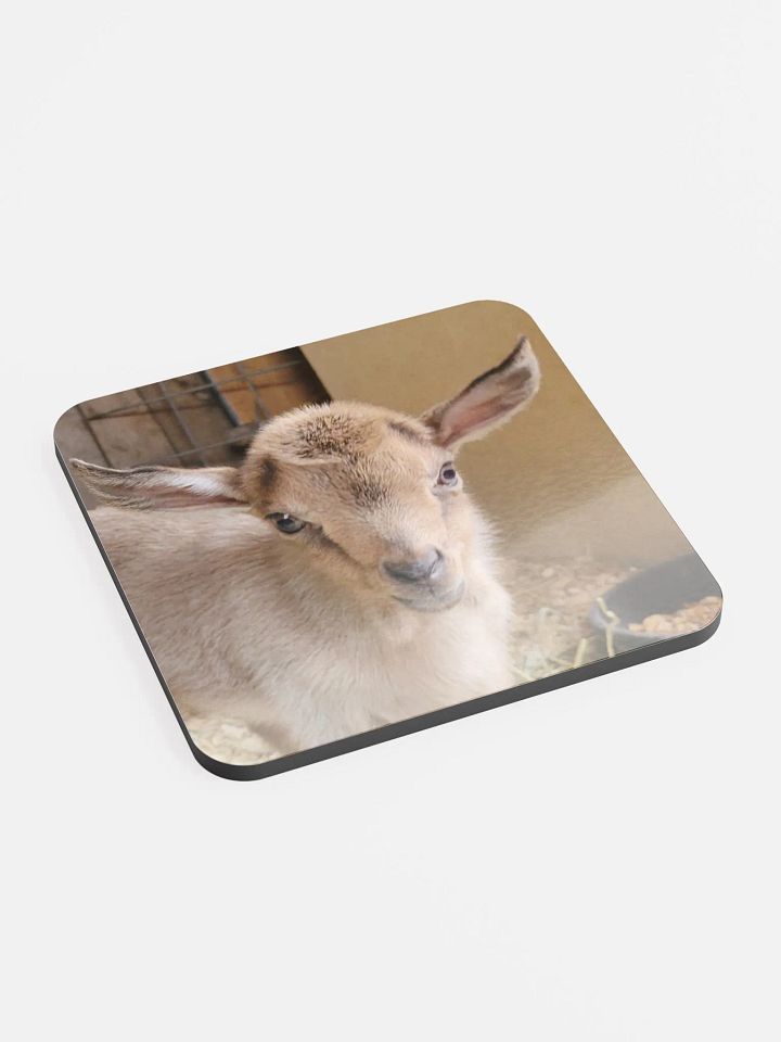 Baby Kiwi goat coaster product image (2)