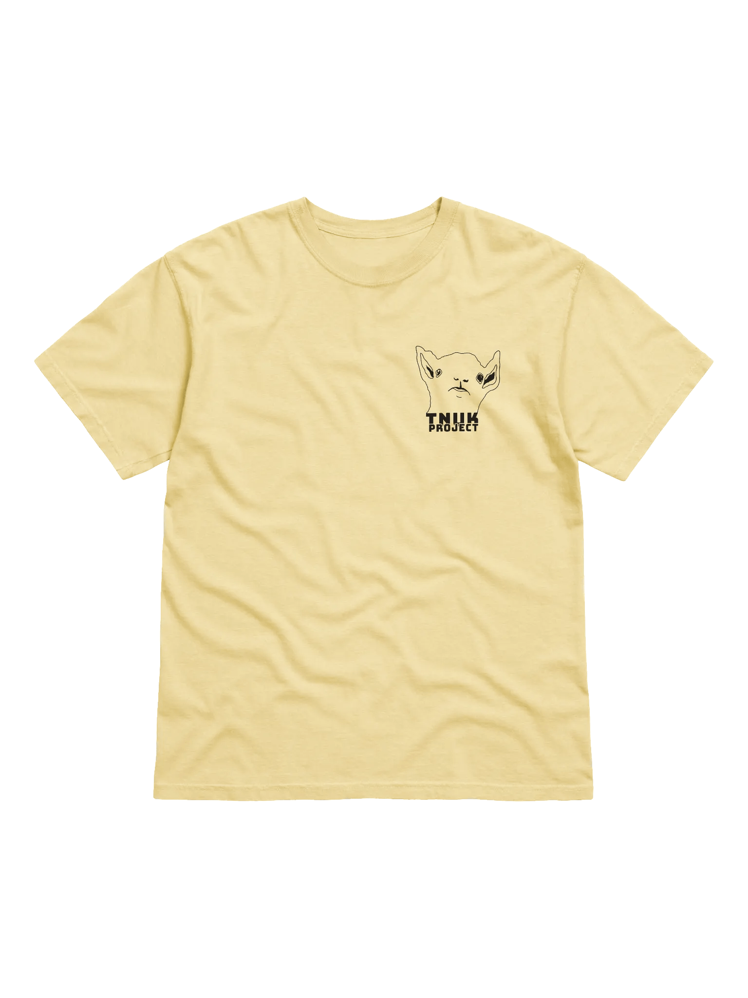 TNUK PROJECT - HEAVYWEIGHT T-SHIRT product image (21)