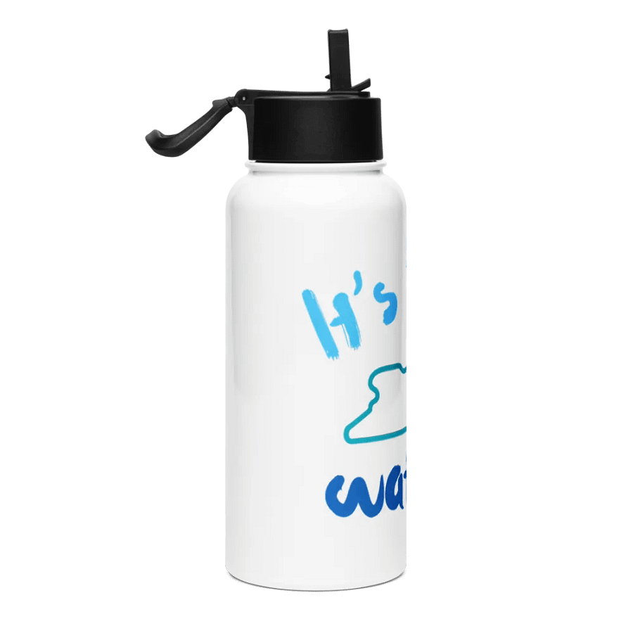 "It's the Water" Stainless Steel Water Bottle with Straw Lid product image (4)