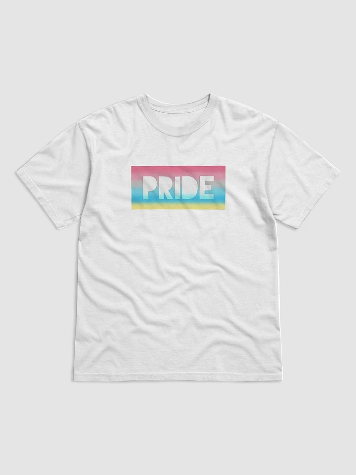 Genderflux Pride On Display - T-Shirt product image (1)