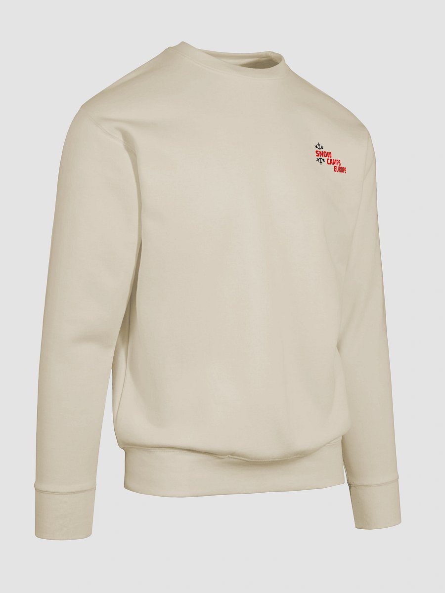 Fall. Learn. Repeat. Progress Sweater product image (20)