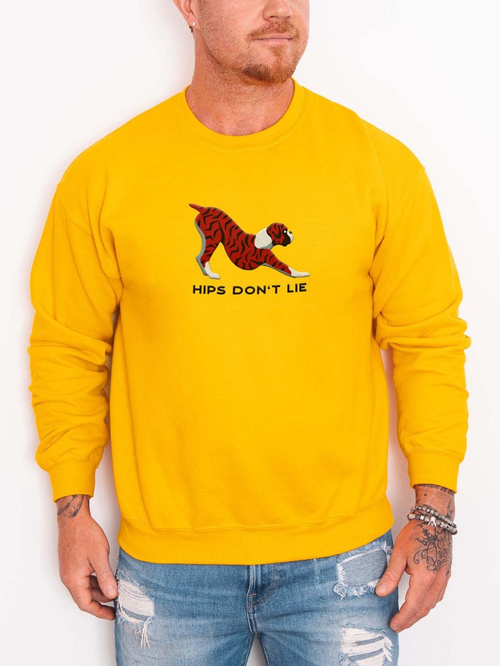 Hips Don't Lie Sweatshirt (Embroidered) of a Boxer(Brindle) product image (2)