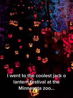 This is still the coolest Halloween event I ever saw #halloween #pumpkin #pumpkinseason #pumpkinspice 