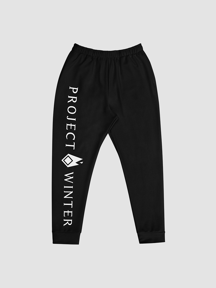 Project Winter Men's Joggers (Black) product image (1)