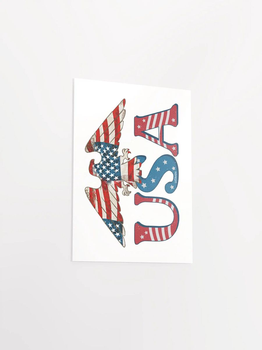 U.S.A. product image (3)