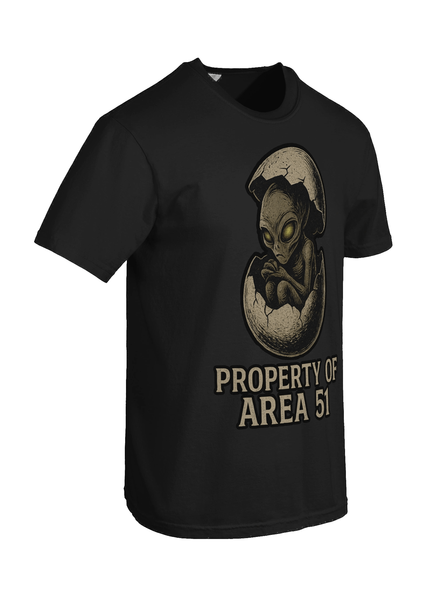 Property of Area 51 Tee product image (8)