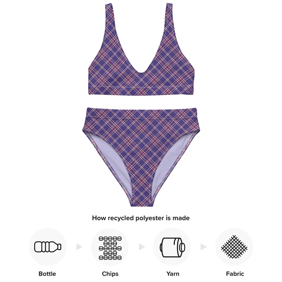 Purple Orchid and Violet Plaid Bikini product image (10)