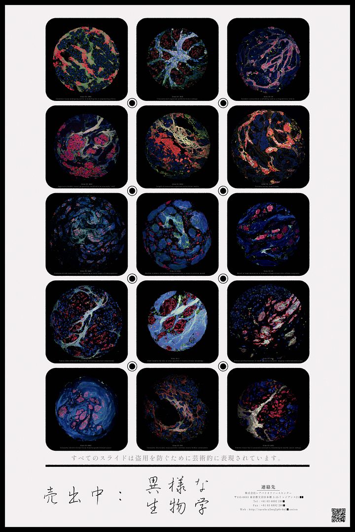 for sale: strange biology product image (1)