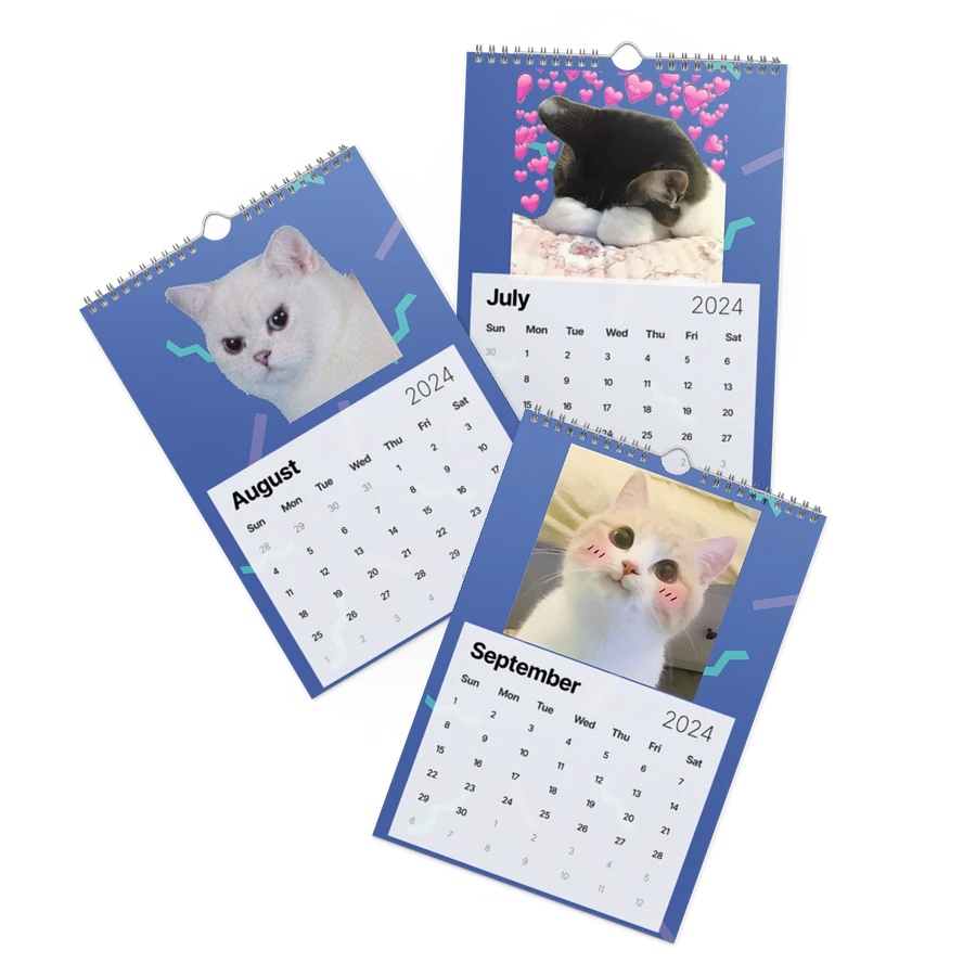 Wall Calendar (2024): Meme Cats product image (11)