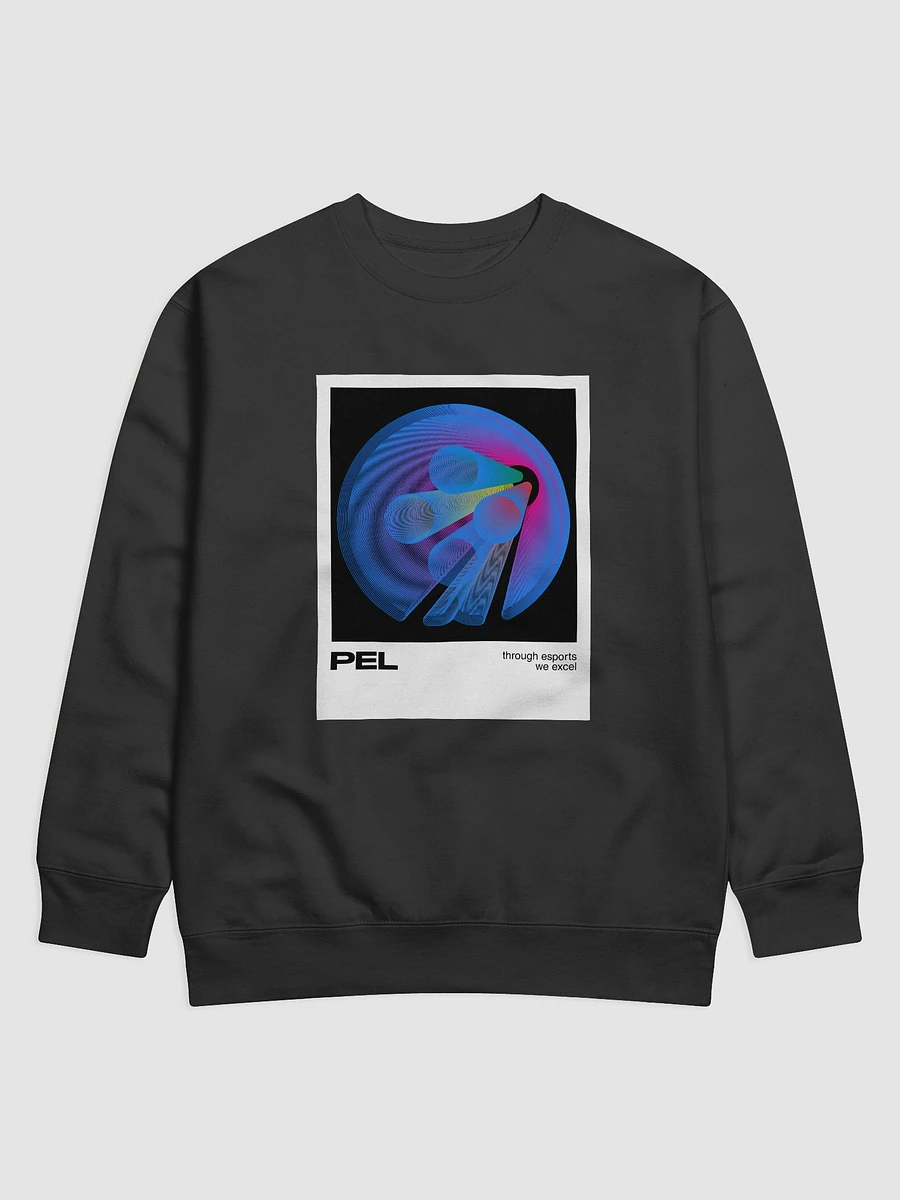 Spectrum Sweatshirt product image (1)