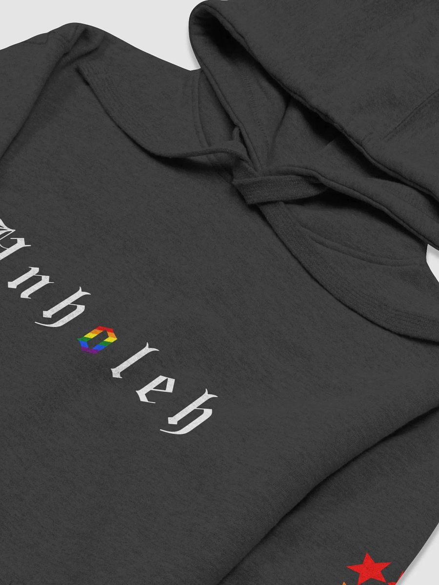 Premium Pride Star Sleeve Hoodie - Unisex product image (4)