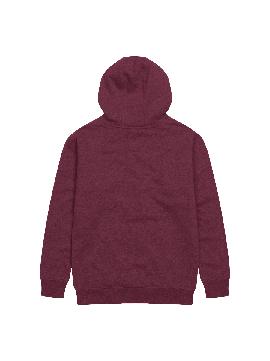 Set Apart & Rooted Embroidered Branded Hoodie (Dark Colors) product image (8)