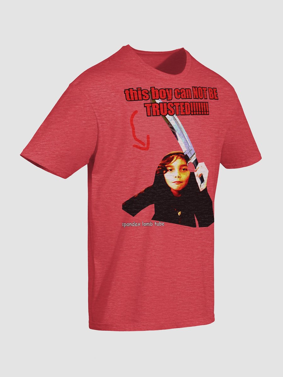 this boy can NOT BE TRUSTED!!!!!!!!!!!!! product image (24)