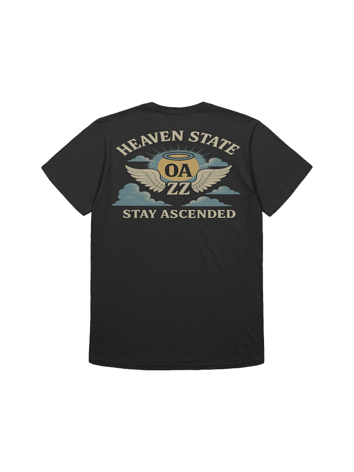 Heaven State Graphic Winged Tee product image (17)