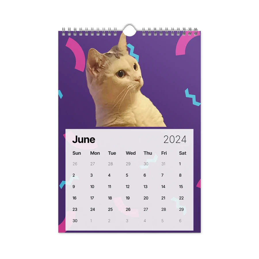 Wall Calendar (2024): Meme Cats product image (12)