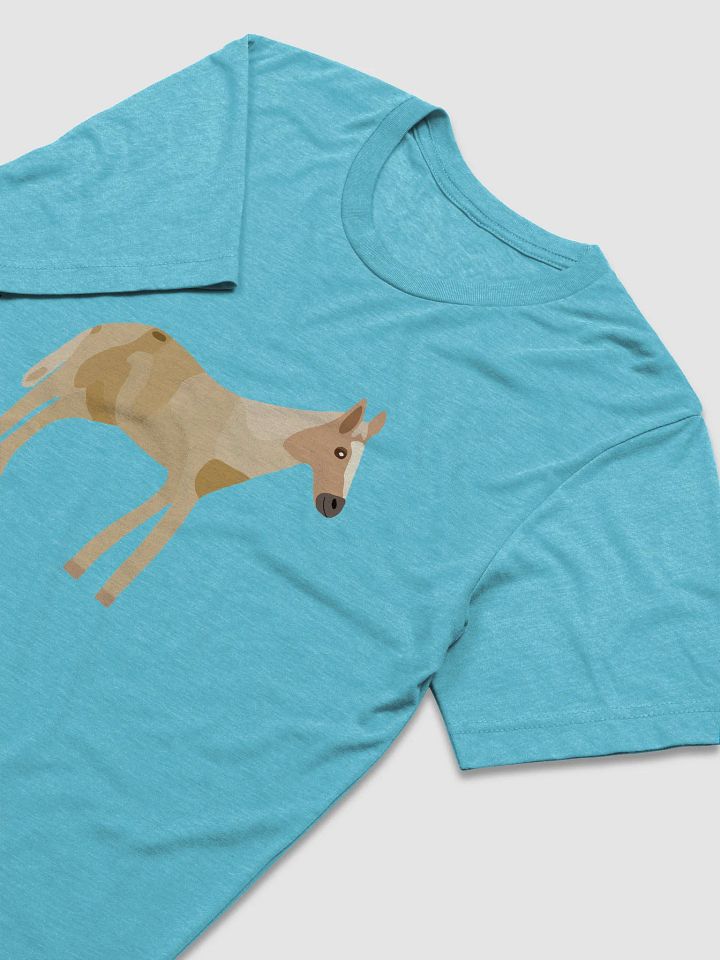 Jemmy Unisex Tri-Blend T-Shirt product image (2)