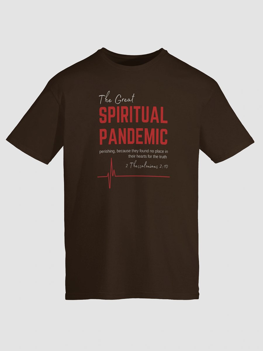 The Great Spiritual Pandemic Gilden Lightweight T-Shirt product image (9)