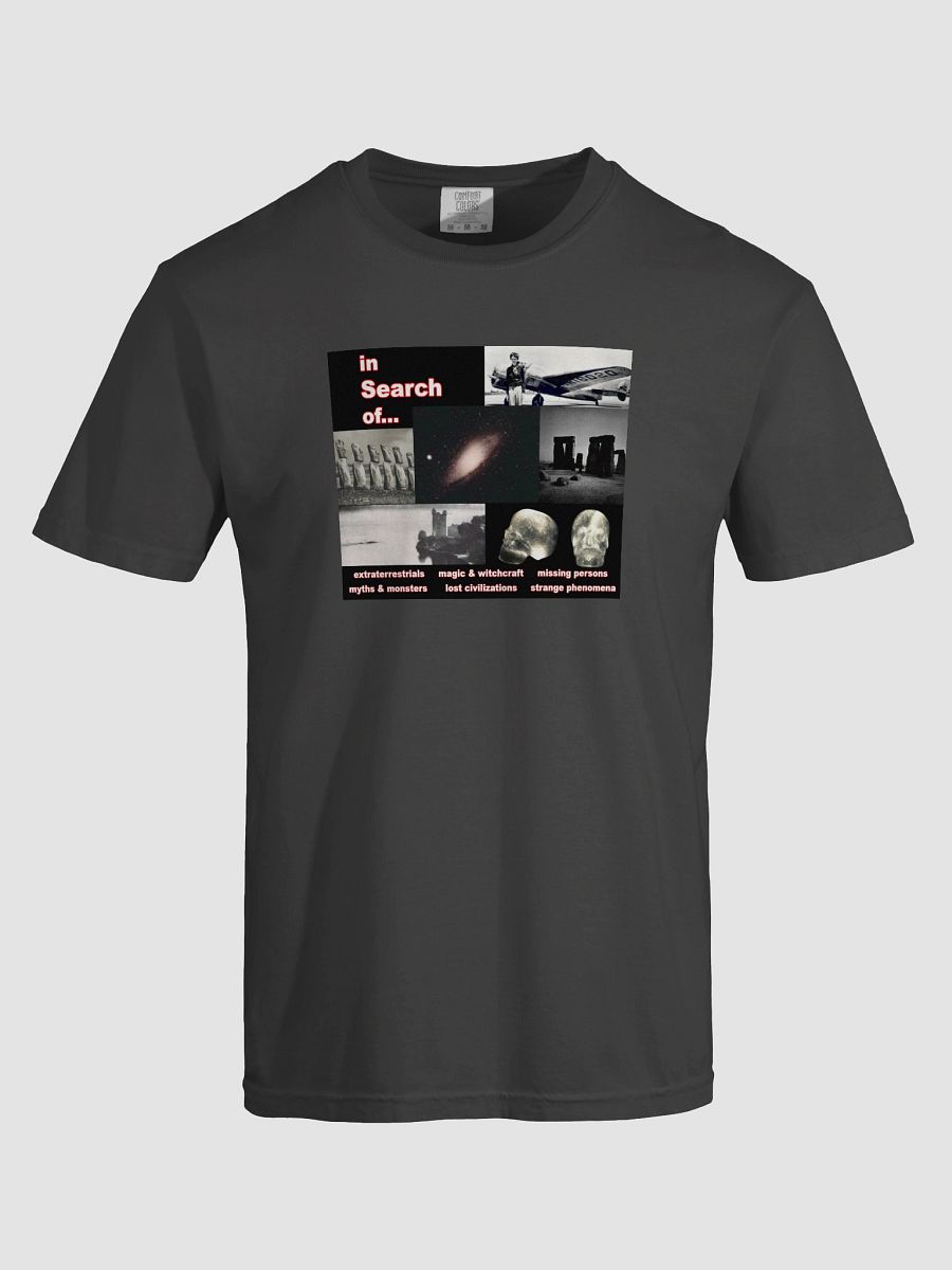 In Search Of... T-Shirt product image (21)