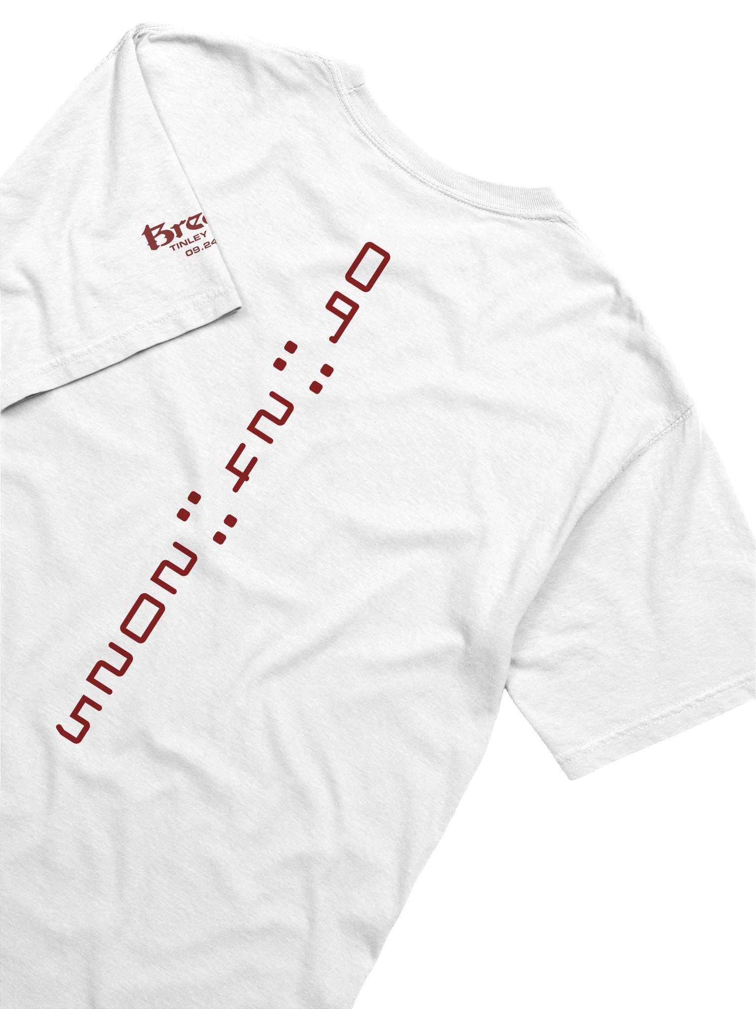 Tinley Park 2025 T-Shirt (Light) product image (6)