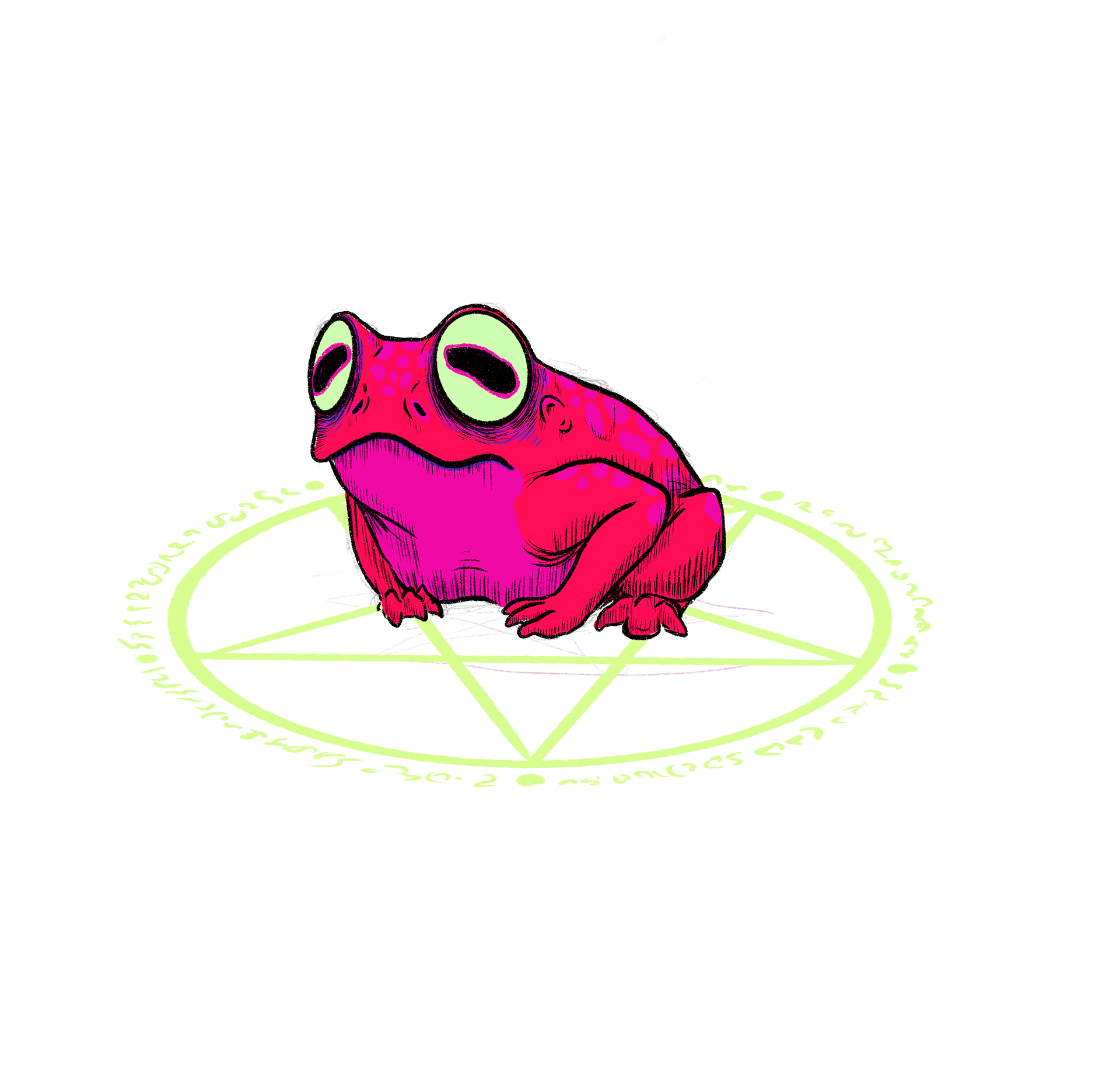 Frog buddy product image (1)