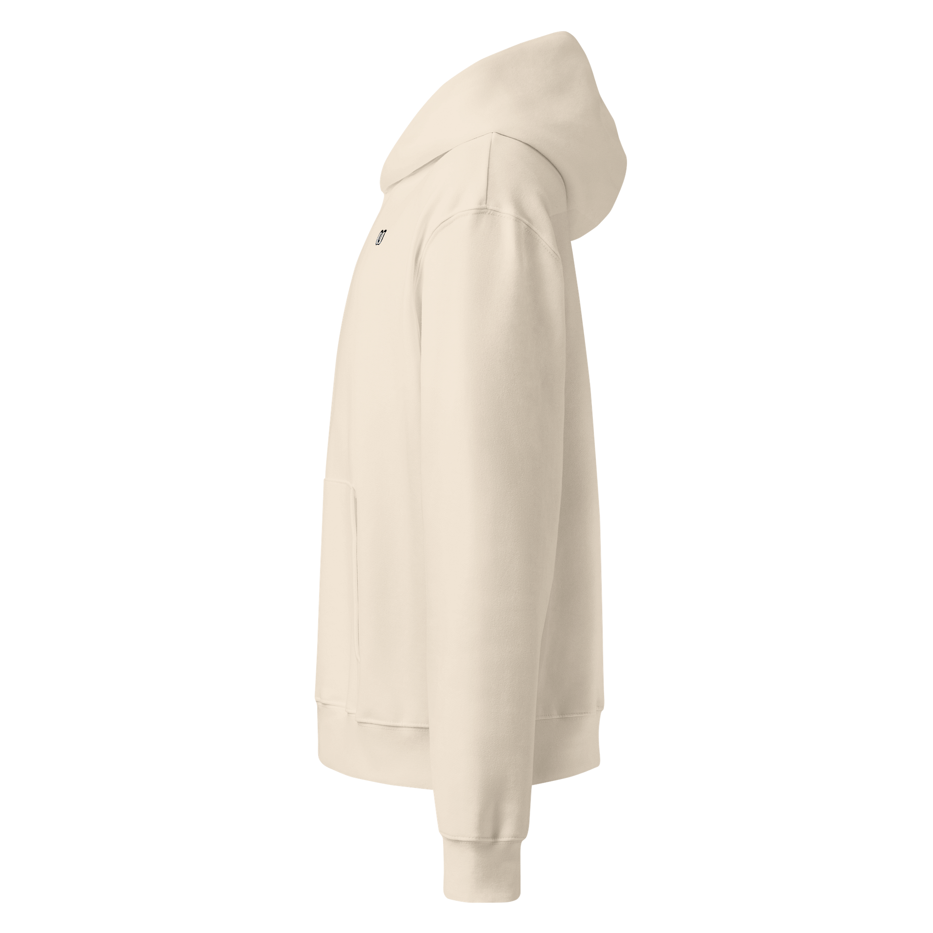 CS Oversized Heavyweight Hoodie product image (7)