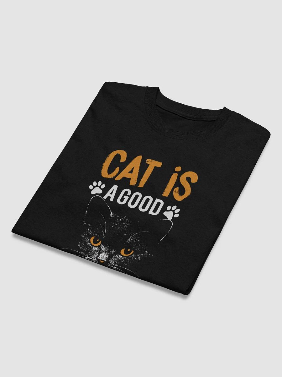 Cat is A Good Friends For Human product image (17)