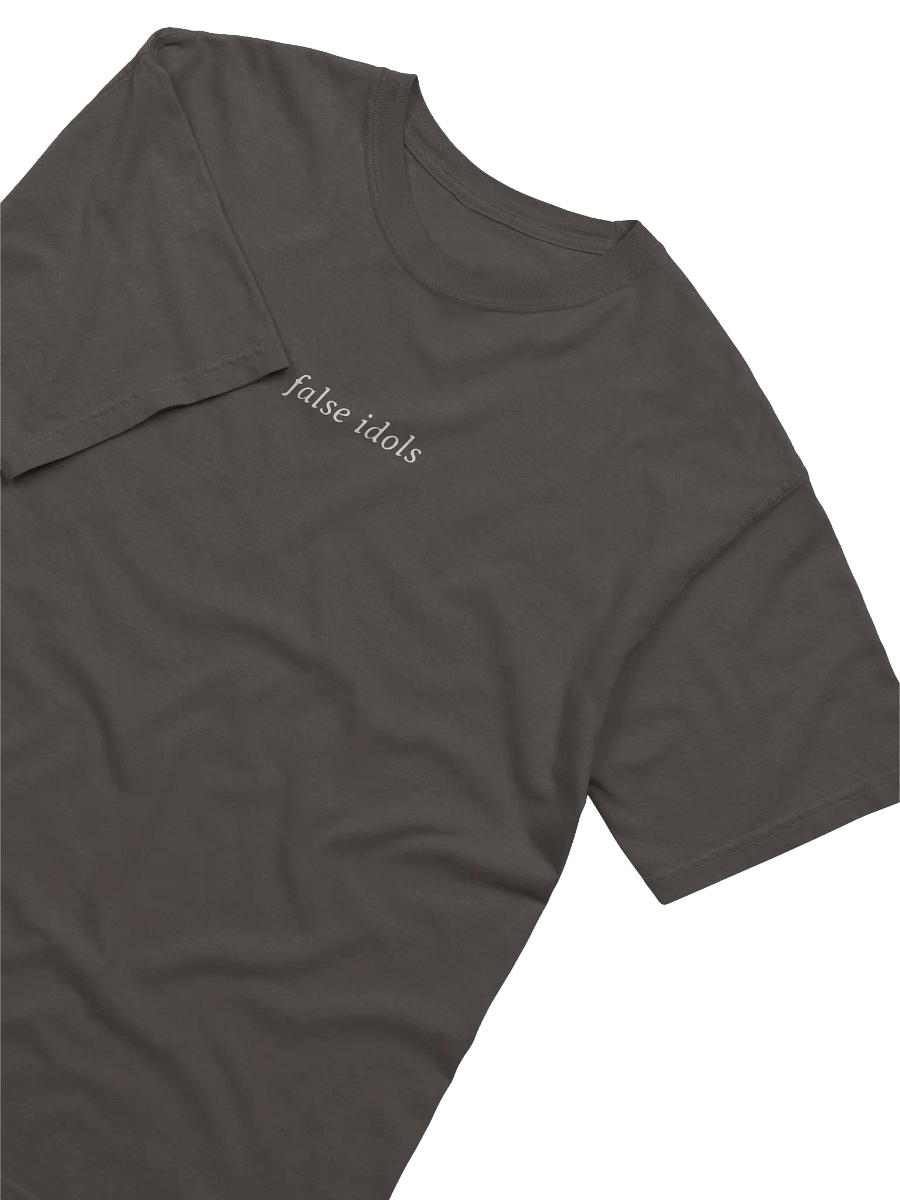 Glorious Evolution - Tee product image (2)