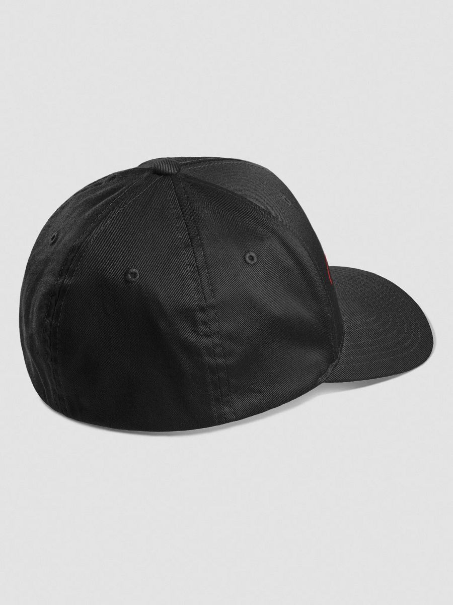 COUNTRY RAP TEA FITTED HAT product image (20)