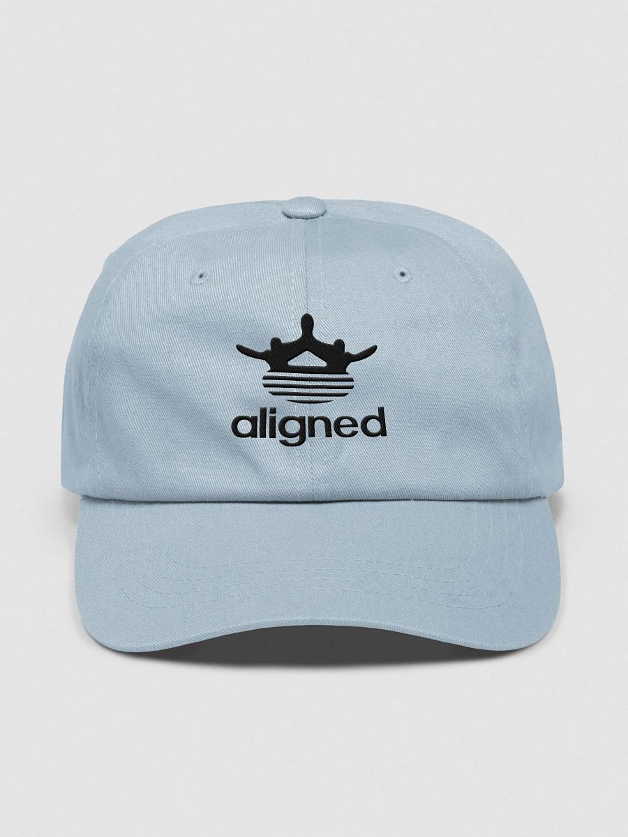 Aligned Hat product image (8)