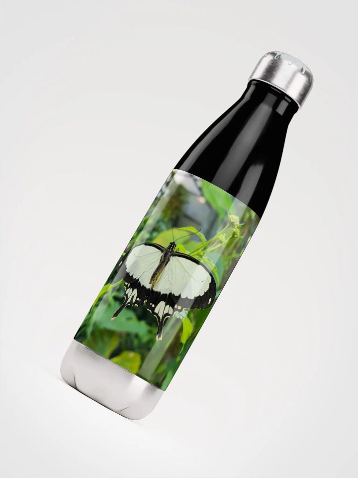 Mocker Swallowtail Tropical Butterfly Stainless Steel Water Bottle product image (1)