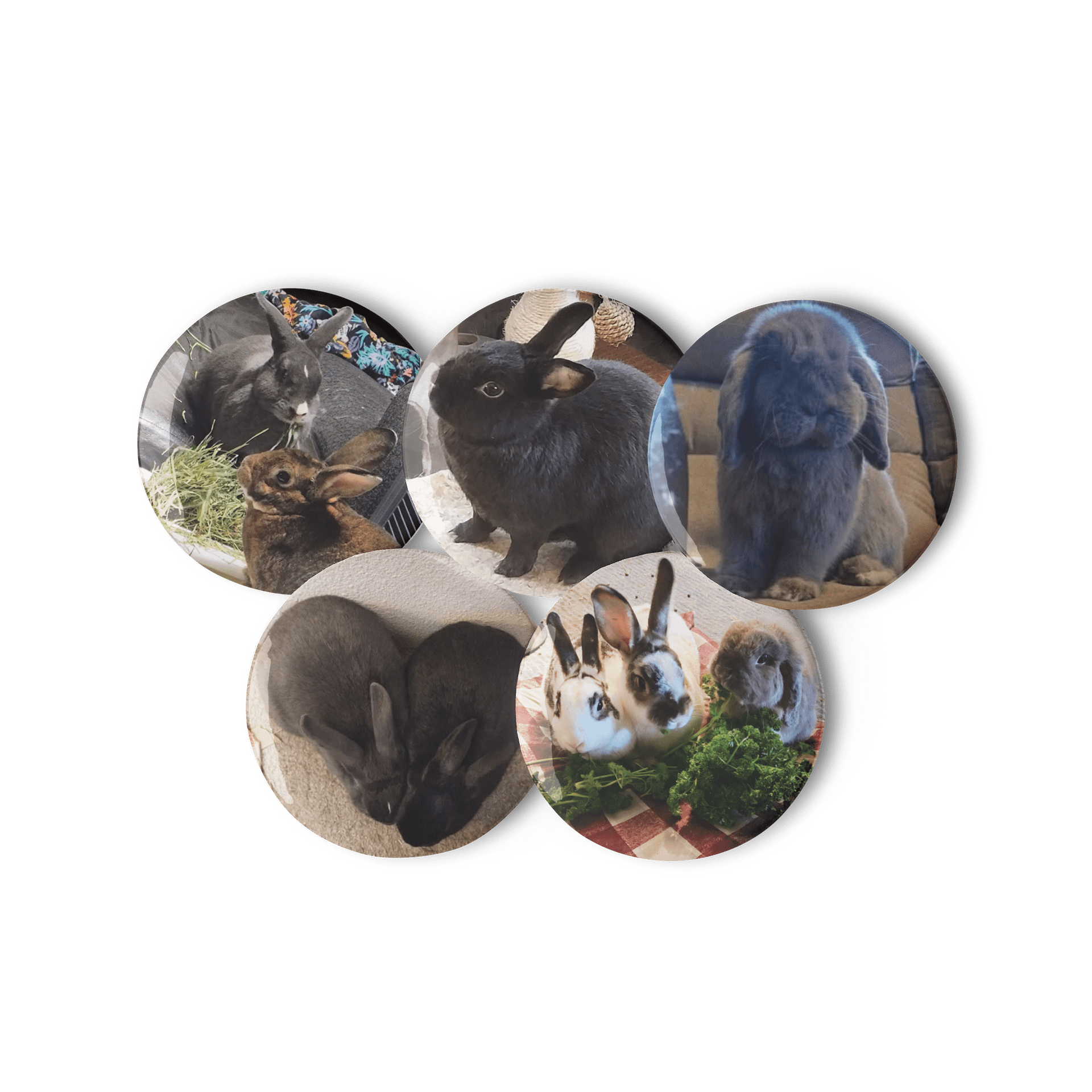 Bunny Pictures || Set of Pin Buttons product image (2)