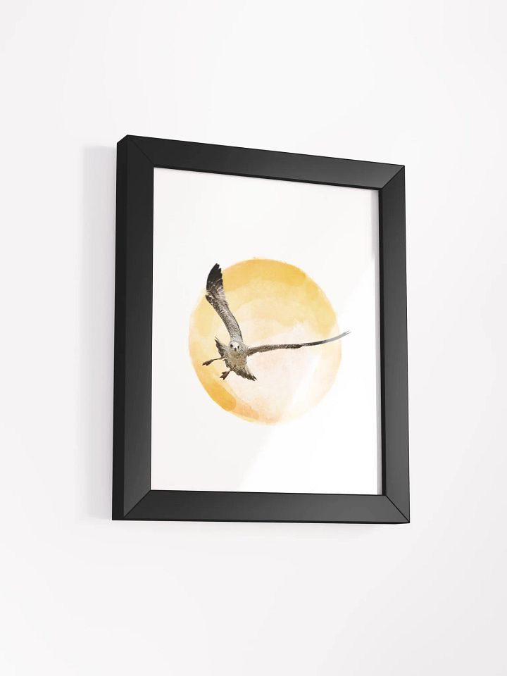 Young Sun Gull Framed Print product image (44)