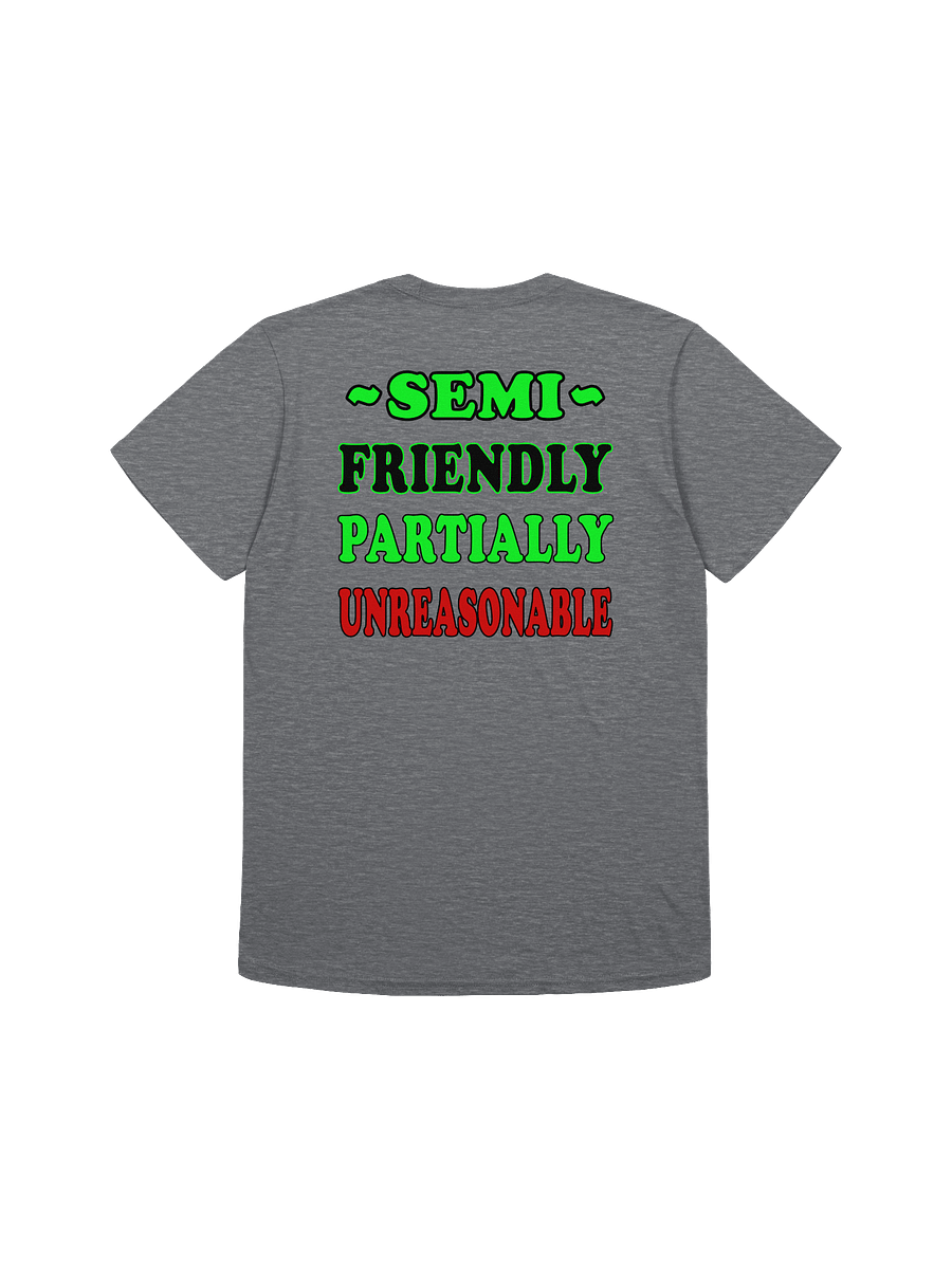 SEMI FRIENDLY TEE product image (4)