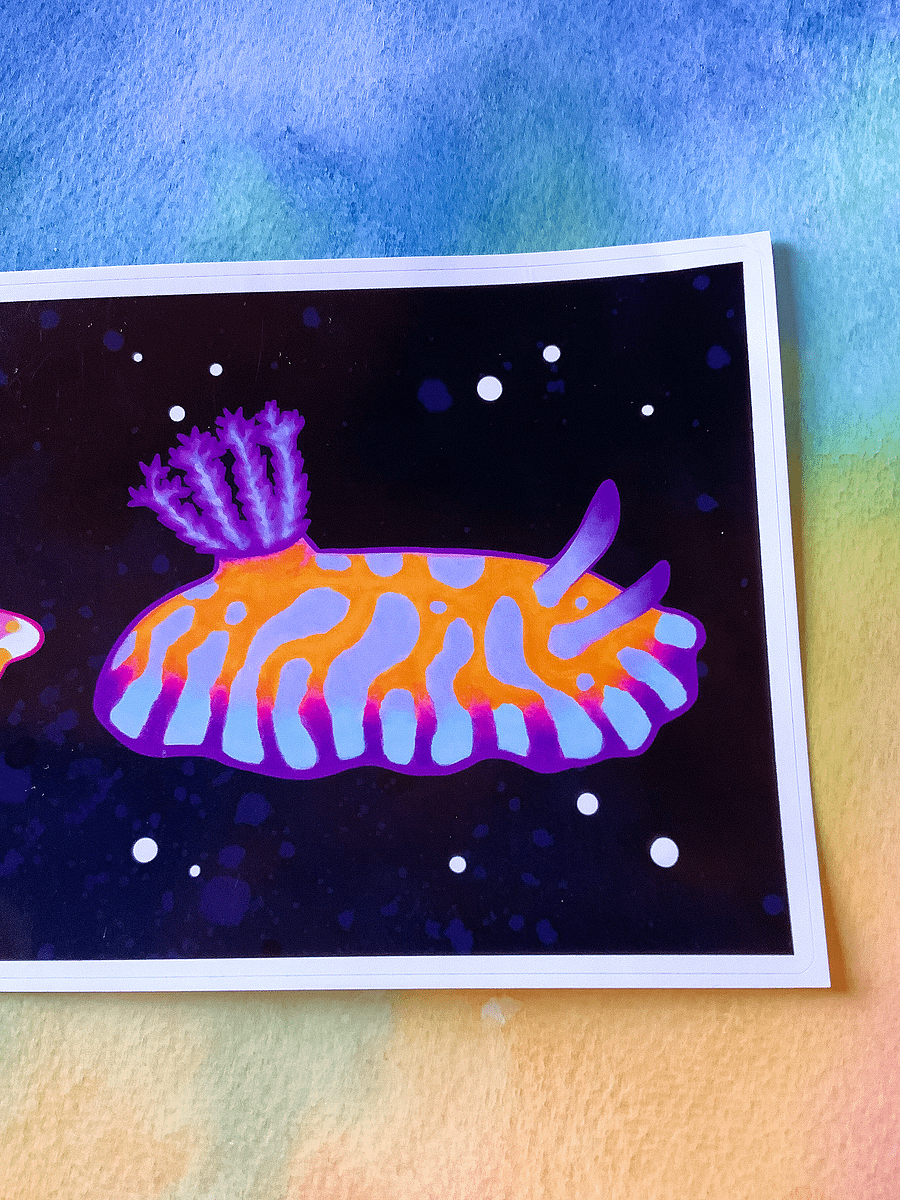 Sea Slugs: Set 1 - 15" Sticker product image (4)