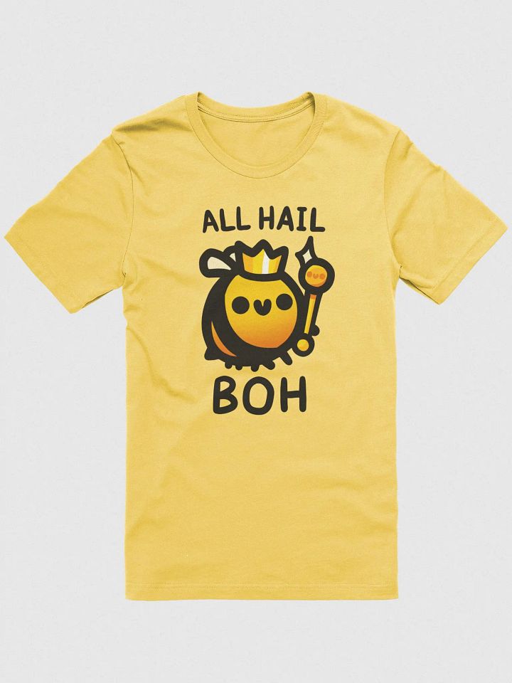 All Hail BOH Shirt product image (10)