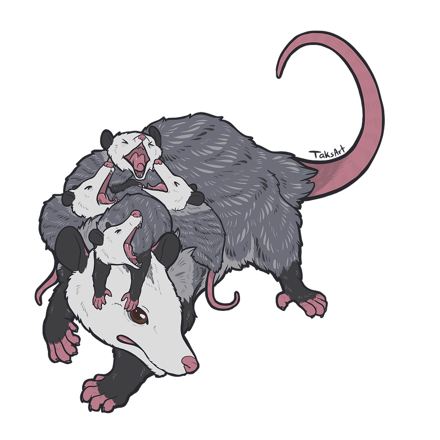 Opossum Mom - Sticker product image (1)