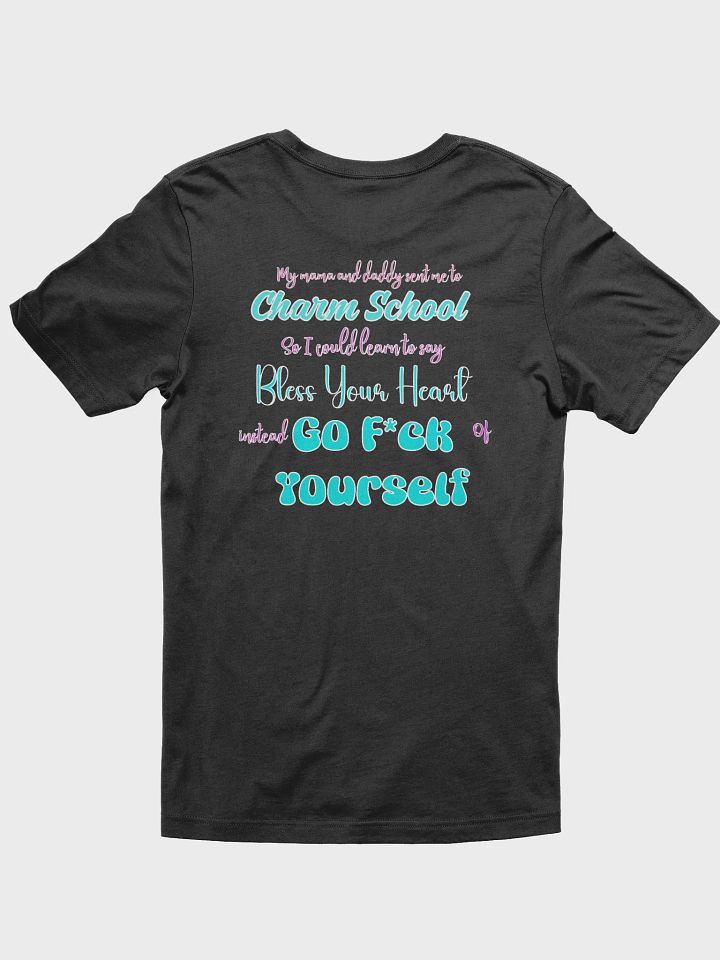 Soft Southern T-Shirt product image (15)