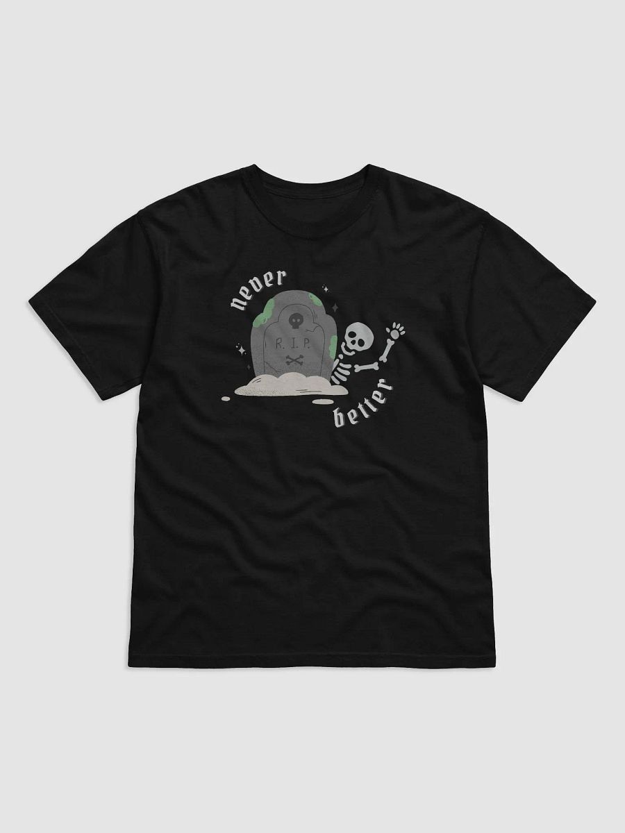 Never Better Tee product image (1)