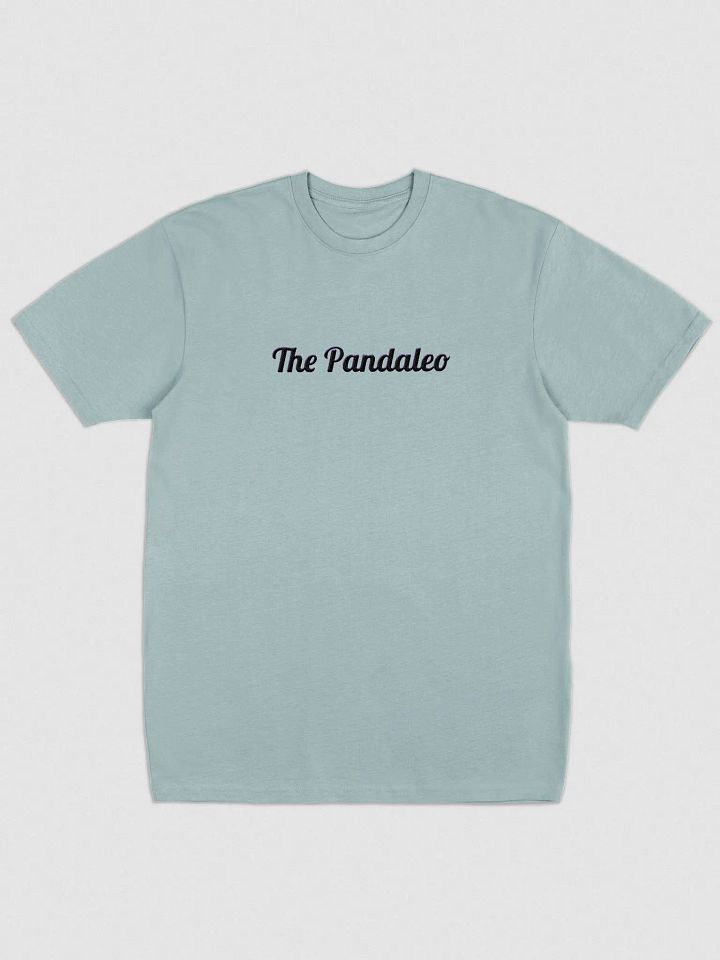 The Plain-a-leo Tee product image (1)