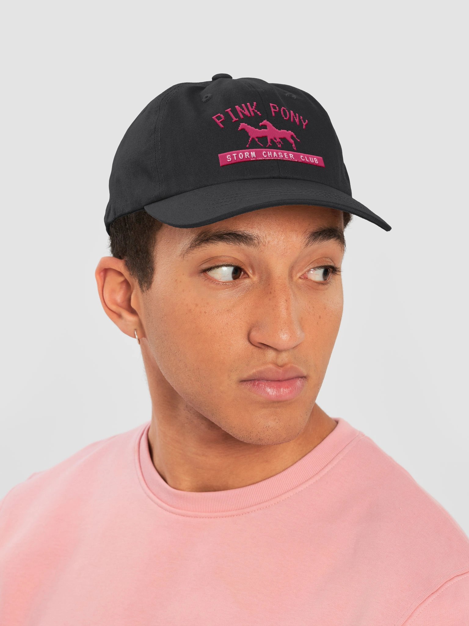 Pink Pony Storm Chaser Club (Windows Paint) product image (6)