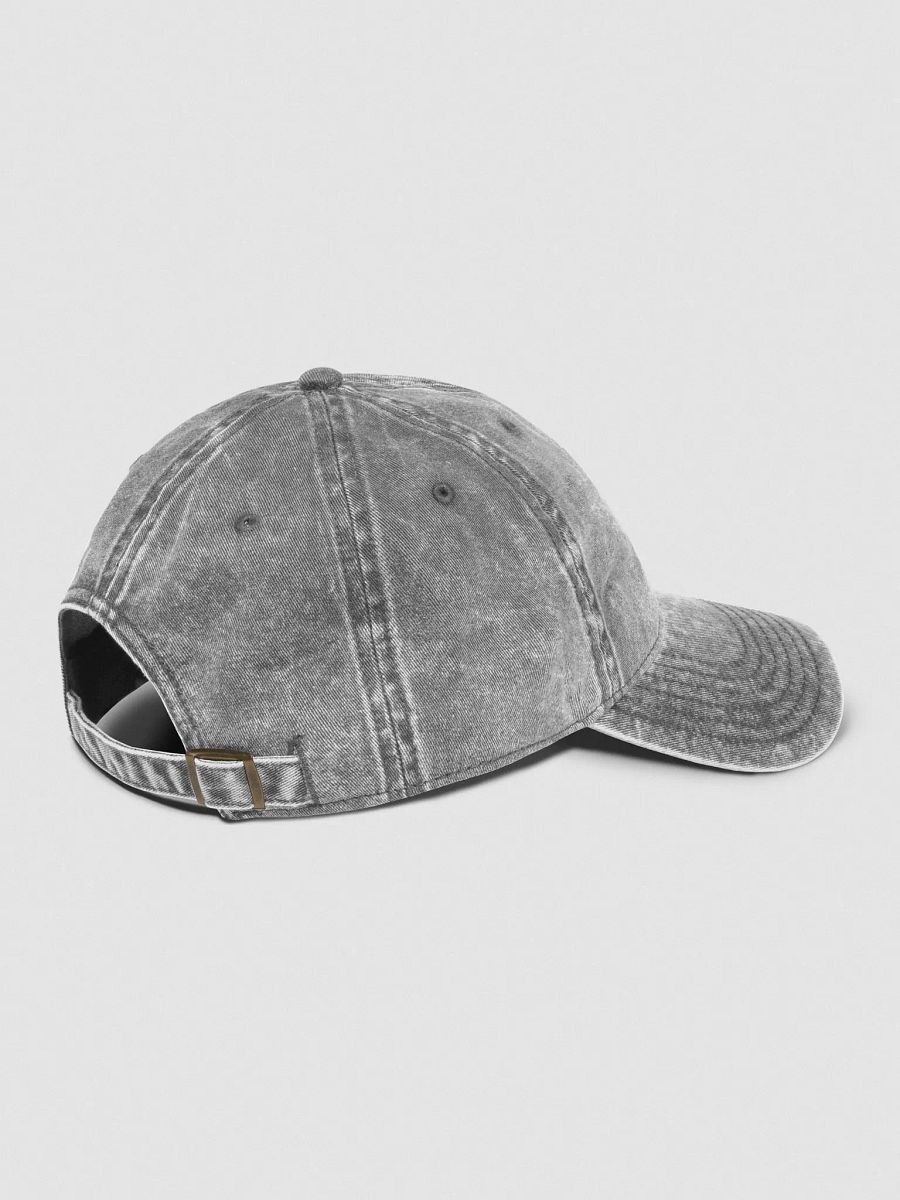 Jon Hare Stay Sensible Vintage Wash Dad Hat product image (3)