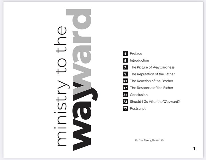 Ministry to the Wayward product image (2)