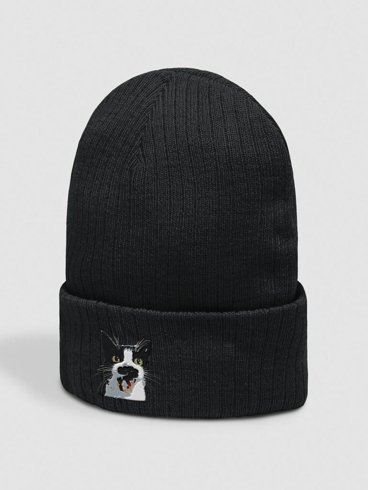 Loki Cuffed Beanie product image (2)