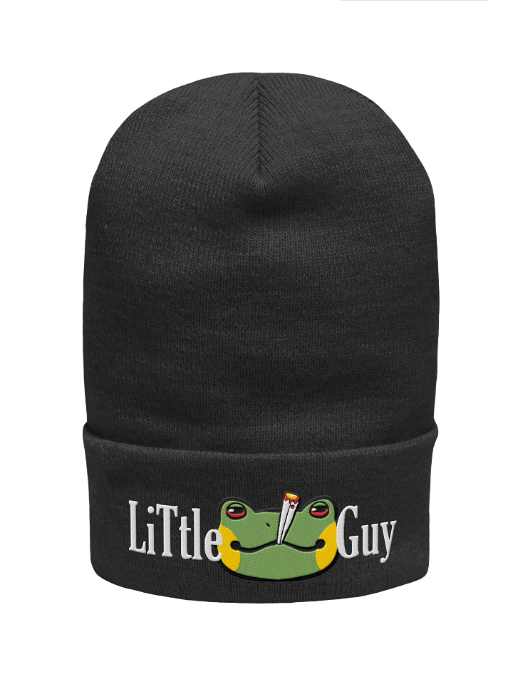 LiTle Guy Beanie product image (13)