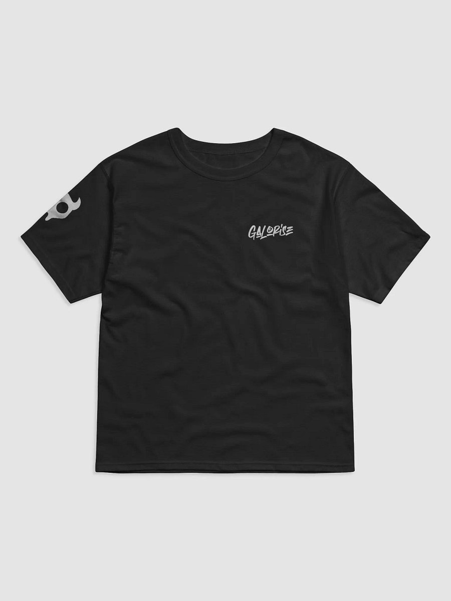 Galorise x Champion T-Shirt product image (1)