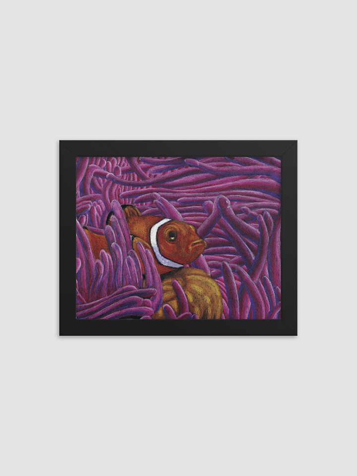 Clown Fish Framed Print product image (1)