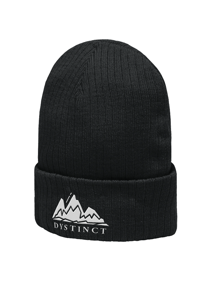 Dystinct winter beanie product image (2)